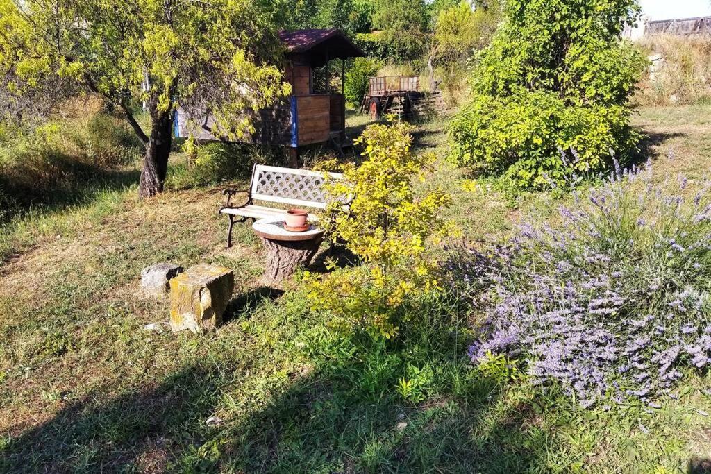 Casa Rural En El Matarrana. Lledo المظهر الخارجي الصورة